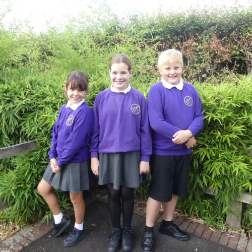 Stogumber CofE Primary School photo